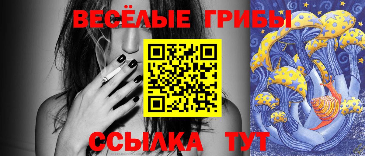 Галлюциногенные грибы Psilocybe Азов